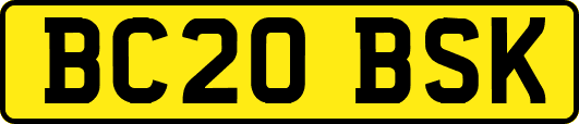 BC20BSK