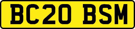 BC20BSM