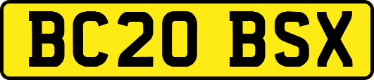 BC20BSX
