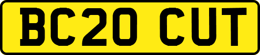 BC20CUT