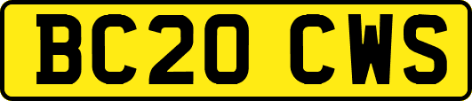BC20CWS