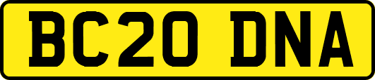BC20DNA