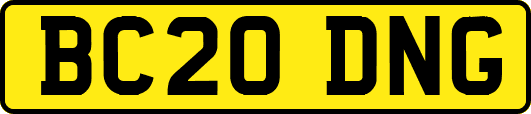 BC20DNG