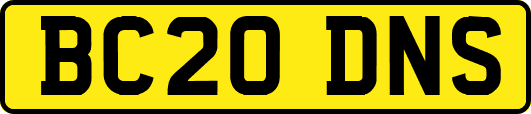 BC20DNS
