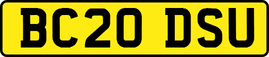 BC20DSU