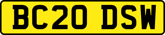 BC20DSW
