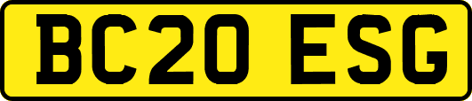 BC20ESG