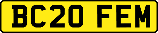 BC20FEM