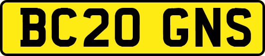 BC20GNS
