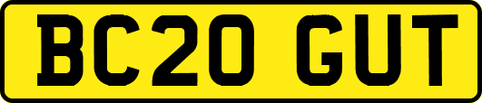BC20GUT