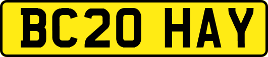 BC20HAY