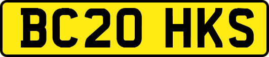 BC20HKS