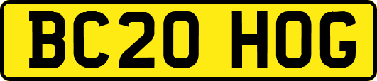 BC20HOG