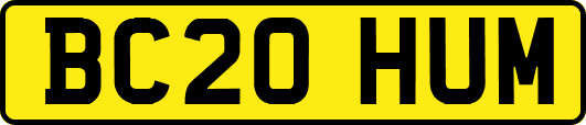 BC20HUM