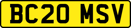 BC20MSV