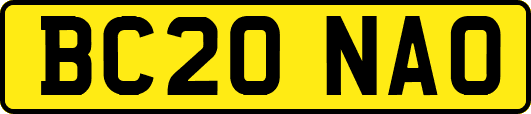 BC20NAO