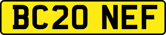 BC20NEF