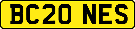 BC20NES
