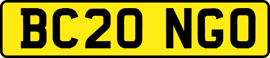 BC20NGO