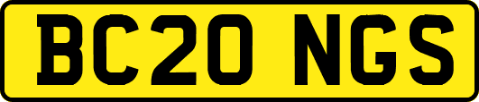BC20NGS