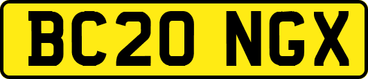 BC20NGX