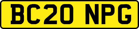 BC20NPG