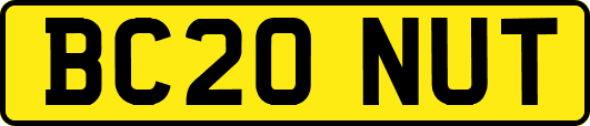 BC20NUT