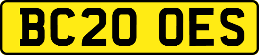 BC20OES