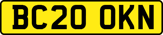 BC20OKN