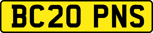 BC20PNS