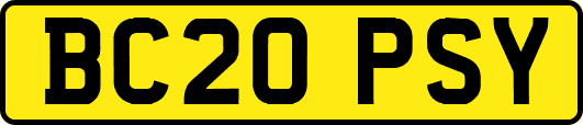 BC20PSY