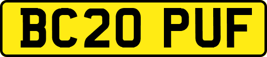 BC20PUF