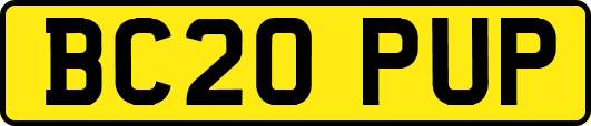 BC20PUP