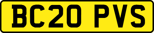 BC20PVS
