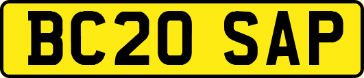 BC20SAP