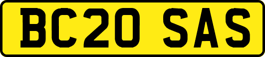 BC20SAS