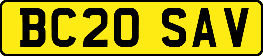 BC20SAV