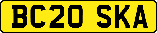 BC20SKA