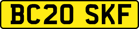 BC20SKF