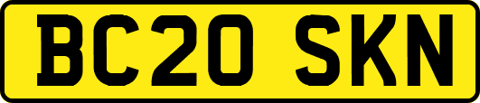BC20SKN