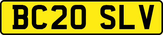 BC20SLV