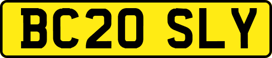 BC20SLY