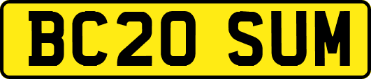 BC20SUM