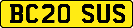 BC20SUS