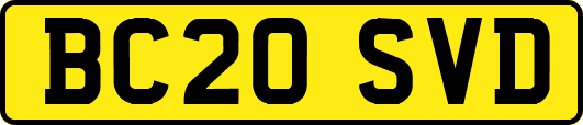 BC20SVD