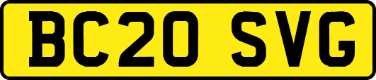 BC20SVG