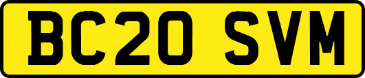 BC20SVM