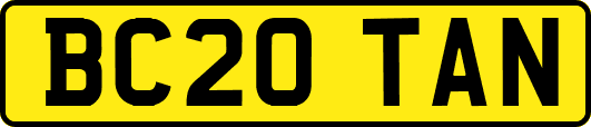 BC20TAN