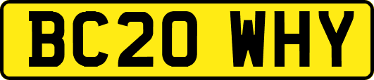 BC20WHY