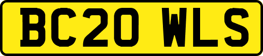 BC20WLS